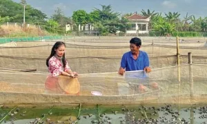 10 dự án vào chung kết Sáng kiến Mekong